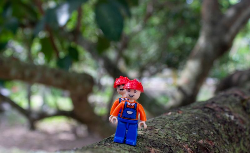 Giardino botanico